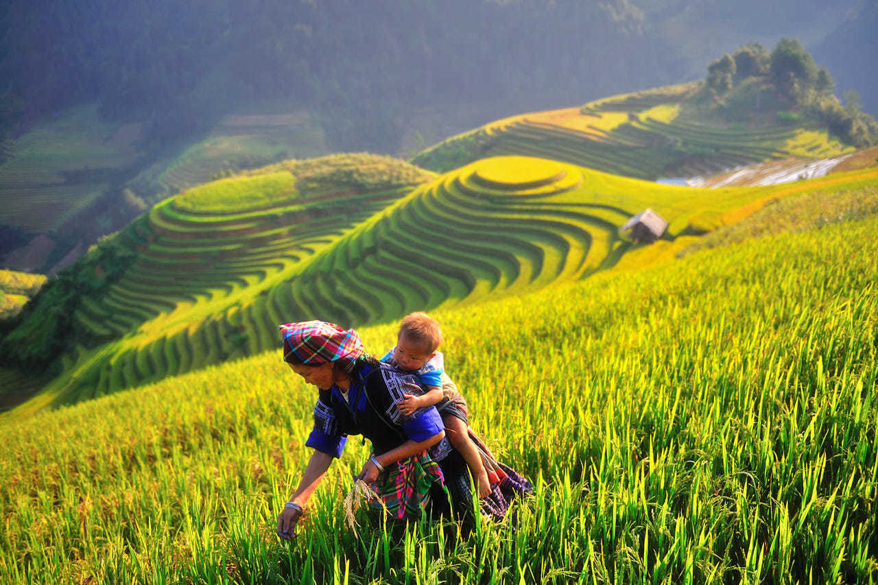 Mu Cang Chai has been recognized as one of the 25 most stunningly beautiful places in the world.