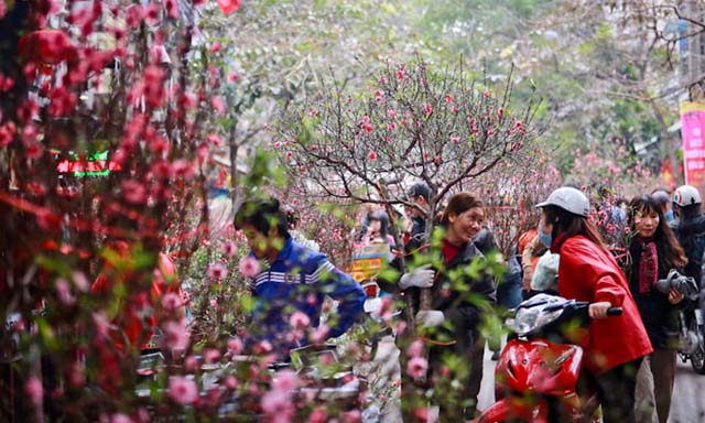 Hanoi in February