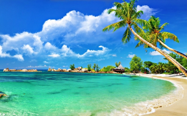 Top Ideal Vietnamese Beaches for Family Vacations Top Ideal Vietnamese Beaches for Family Vacations