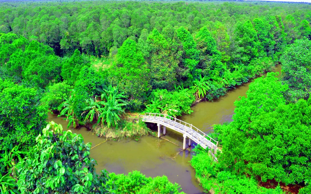 A Guide to Tourism in Hau Giang A Guide to Tourism in Hau Giang